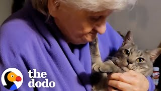 Grandma Is Hiding Her True Feelings About Her Cat  The Dodo [upl. by Lisan613]