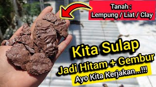 🔴 Daging semua ✅ Tips Cara Merubah Tanah Yang Merah Lengket Jadi Hitam Subur Gembur Pembenah Tanah 💥 [upl. by Nidla]