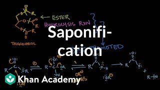 Saponification  Base promoted ester hydrolysis  MCAT  Khan Academy [upl. by Ecnerwal]