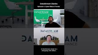 DataStream Diaries Episode 4 Cyber Risks amp Trends 2024 [upl. by Eldred313]