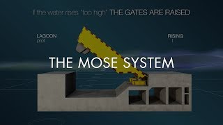 THE MOSE SYSTEM [upl. by Shetrit]