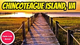 10 THINGS TO DO IN CHINCOTEAGUE ISLAND VIRGINIA [upl. by Yahsed]