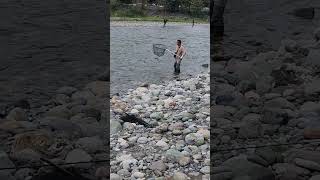 Its not easy to put a really big salmon in a net I ❤️ salmon fishing Vedder river Canada 🇨🇦 53 [upl. by Barcellona]