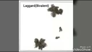 LaggardBivalent abnormalityMeiotic Anaphase 1 stage [upl. by Oslec]