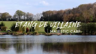 Etang de Villaine  Majestic Carp [upl. by Annabela791]