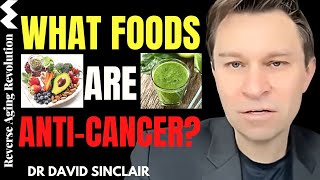 What FOODS Are AntiCancer  Dr David Sinclair Interview Clips [upl. by Busiek]