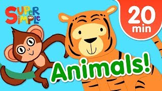 Our Favorite Animals Songs For Kids  Super Simple Songs [upl. by Brigitte]