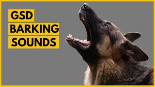 German Shepherd Barking Sounds Compilation See How Your GSD REACTS [upl. by Leach]