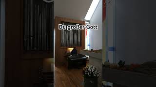 Du großer Gott music orgelmusik neuapostolisch orgel viralvideo shortsfeed shorts fyp organ [upl. by Jecoa]