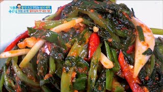 Happydayyoung radish kimchi recipe 쉽고 맛있게 열무김치 담그는 법 기분 좋은 날 20170802 [upl. by Adnor]