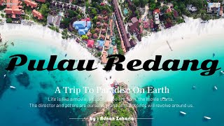 Pulau Redang 4D3N Full Story Trip Kg Redang  Long Beach  Snorkeling With NemoTurtleampSharks [upl. by Trebmer]