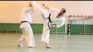 Karate Kyokushinkai  enchainements de combat par Alexandre PICHKUNOV [upl. by Ileyan856]