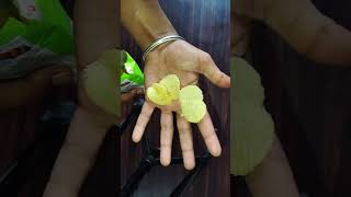 Opening and unboxing of lays worth rupees5 only food unboxing snacks trending shorts [upl. by Ahsahs632]