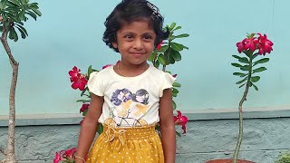 Annara kanna vaa  dance cover  3 year old baby [upl. by Zeitler]