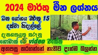 Lagna Palapala 2024 March Meena Lagnaya ලග්න පලාපල 2024 මාරතු මීන ලග්නය [upl. by Kerat764]