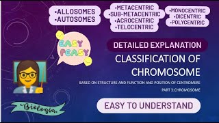 classification of chromosomes  types of chromosomes  based on functioncentromere numberposition [upl. by Aivitnahs]