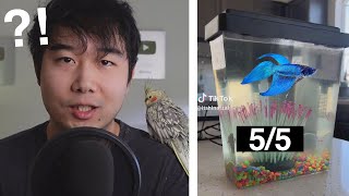 she learned real quick  Fish Tank Review 241 [upl. by Klarika]