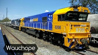 Sydney Trains Vlog 1380 Wauchope [upl. by Ahtnams447]