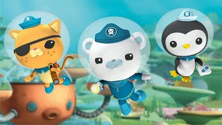 OCTONAUTS Octonauts Full Season  Disney Junior Part 10 [upl. by Daniels]