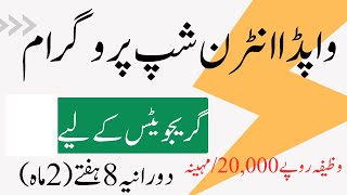 Wapda Internship Program 2024 Paid Internship [upl. by Woodley]