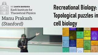 Recreational Biology Topological puzzles in cell biology  Manu Prakash Stanford [upl. by Norb]