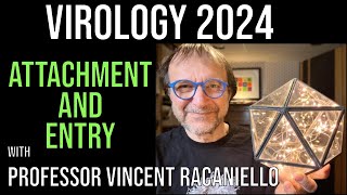 Virology Lectures 2024 5 Attachment and Entry [upl. by Neleb128]