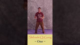 Taiji Shibashi Qi Gong Course [upl. by Dnumyar]