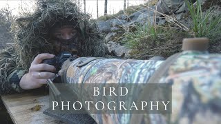 How to photograph the dipper  Bird Photography with camouflage [upl. by Ailaro]