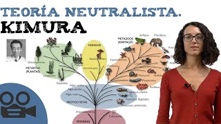 Teoría neutralista de Kimura [upl. by Loughlin]