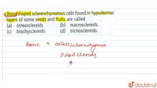 Bone shaped sclerenchymatous cells found in hypodermal layers of some seeds and fruits [upl. by Euqnom]