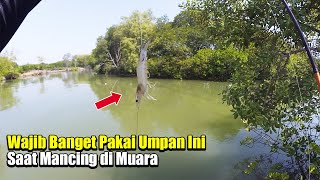 Umpan Ampuh Untuk Mancing Berbagai Jenis Ikan di Muara [upl. by Atinev939]