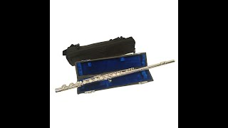 SCHILLER 200 SERIES ELITE FLUTE [upl. by Jessamyn]