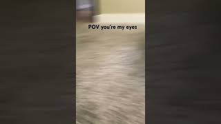 POV your my eyes [upl. by Olav]