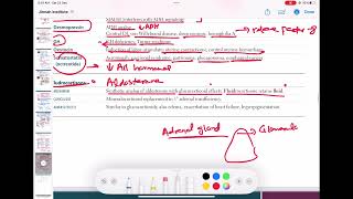 fludrocortisone pharmacology endocrinology 97  First Aid USMLE Step 1 in UrduHindi [upl. by Lalat]