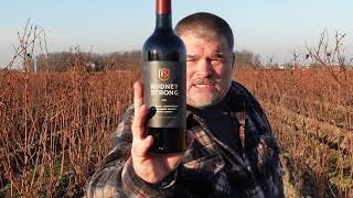 ALLURING Rodney Strong 2020 Alexander Valley Cabernet Sauvignon California [upl. by Matta]