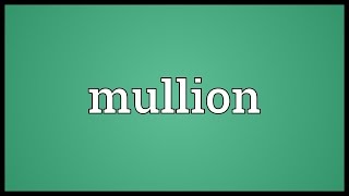 Mullion Meaning [upl. by Mutua966]