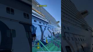 6 Things you didn’t know about your cruise ship [upl. by Noreik381]