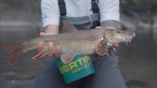 Bolo River TUBERTINI LEVEL CHROME [upl. by Retswerb]