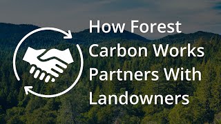 How Forest Carbon Works Partners With Landowners [upl. by Eillen]