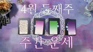 타로 4월 둘째주 주간 운세 [upl. by Aelgna]