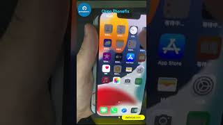 DL400 Pro DisplayTouch Tester Testing iPhone 13 Pro Screen soft OLED [upl. by Braynard]