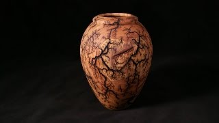 Lichtenberg Fractal Burned Vessel [upl. by Latonia]