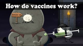 How do vaccines work  aumsum kids science education children [upl. by Beberg886]