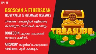 Bscscan Details Explained Malayalam  Hidden Crypto Gems In your Trustwallet amp Metamask Malayalam [upl. by Eelnodnarb]