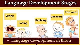 language development stages in childhood  babbling cooing [upl. by Yelsel]