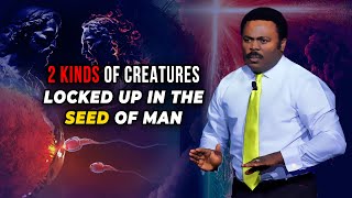 👆🏾 Hear this Mystery About The Creation of Man [upl. by Etnom]