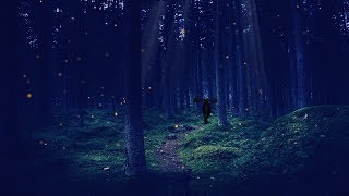 A Night in the Enchanted Forest ASMR Ambience [upl. by Yardley]