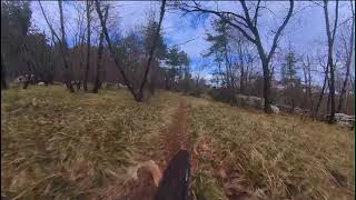 Spago Trail Lower Part  MTB  Kras  Carso [upl. by Anayhd]