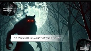 quotLA STORIA DEL LICANTROPO DEL BOSCOquot video horrorstories viralvideo [upl. by Hoffman50]