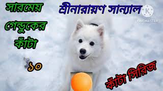 Sarameyo Genduker Kanta part  10 l Rahosyo golpo l Narayan Sanyal l SUSMITAR golper asor [upl. by Noside]